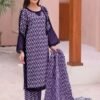 3 Pcs Women's Stitched Lawn Printed Suit