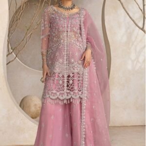 Rang Rasiya Unstitched Organza Embroidered Suit with Silk Palazzo – Replica
